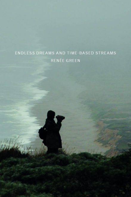 Renée Green: Endless Dreams and Time-Based Streams book cover