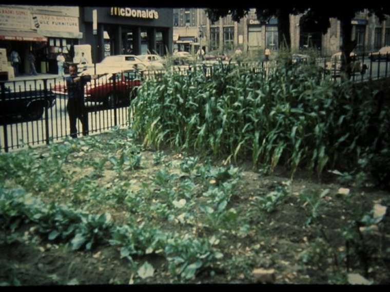 Boston Urban Gardens, 1972-77, Boston, MA. Image courtesy of Julie Kepes Stone.