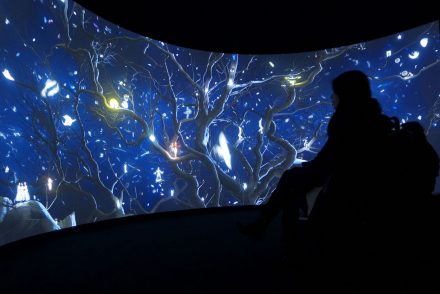 Installation view. 180 degrees (400X120 inches) video projection and 7.1 surround sound installation. Image production Urubu. Commissioned by Christian DIOR. Collection Foundation Vuitton, Paris, France, 2014.