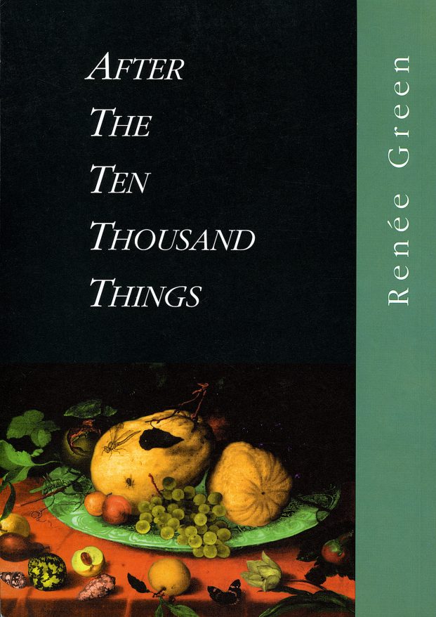 After the Ten Thousand Things = Na de Tienduizend Dingen. The Hague: Stroom, 1994